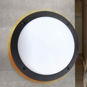 Plafonnier Circulaire Avec Anneau OP D300 E27 IP66