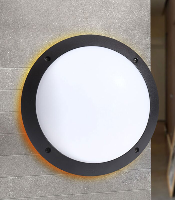 Plafonnier Circulaire Avec Anneau OP D300 E27 IP66